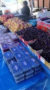 MAURYFRUT feria fco chacon