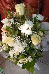 Floreria Lila