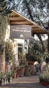 Vivero Las Brujas de Talagante