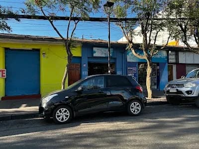 zona celular