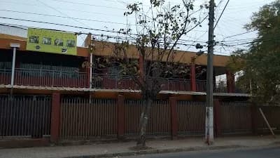 Colegio Antimanque